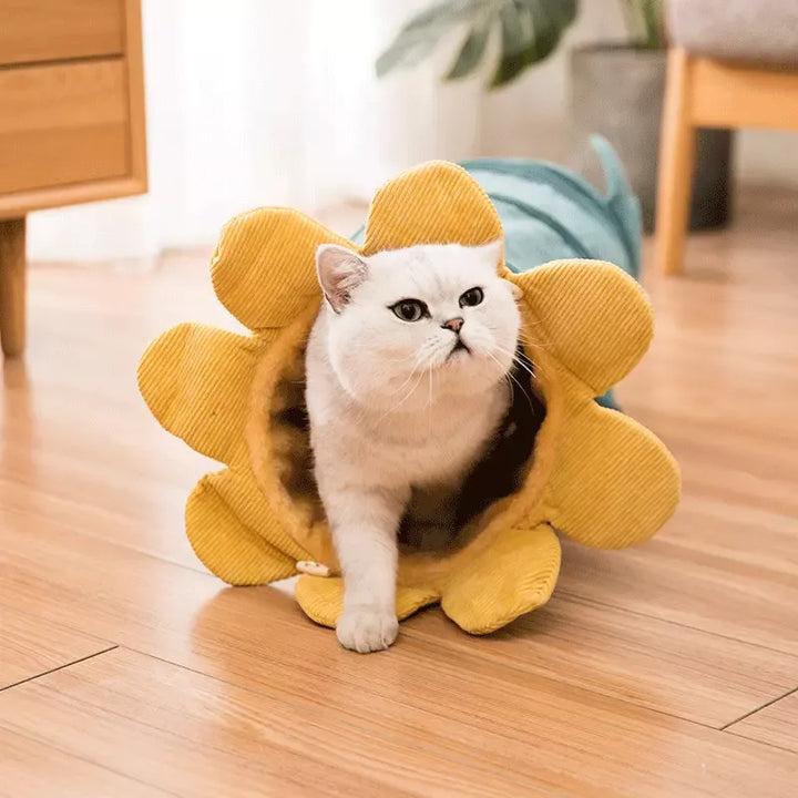 Cat Tunnel: Flower-Shaped Soft Play & Rest Retreat