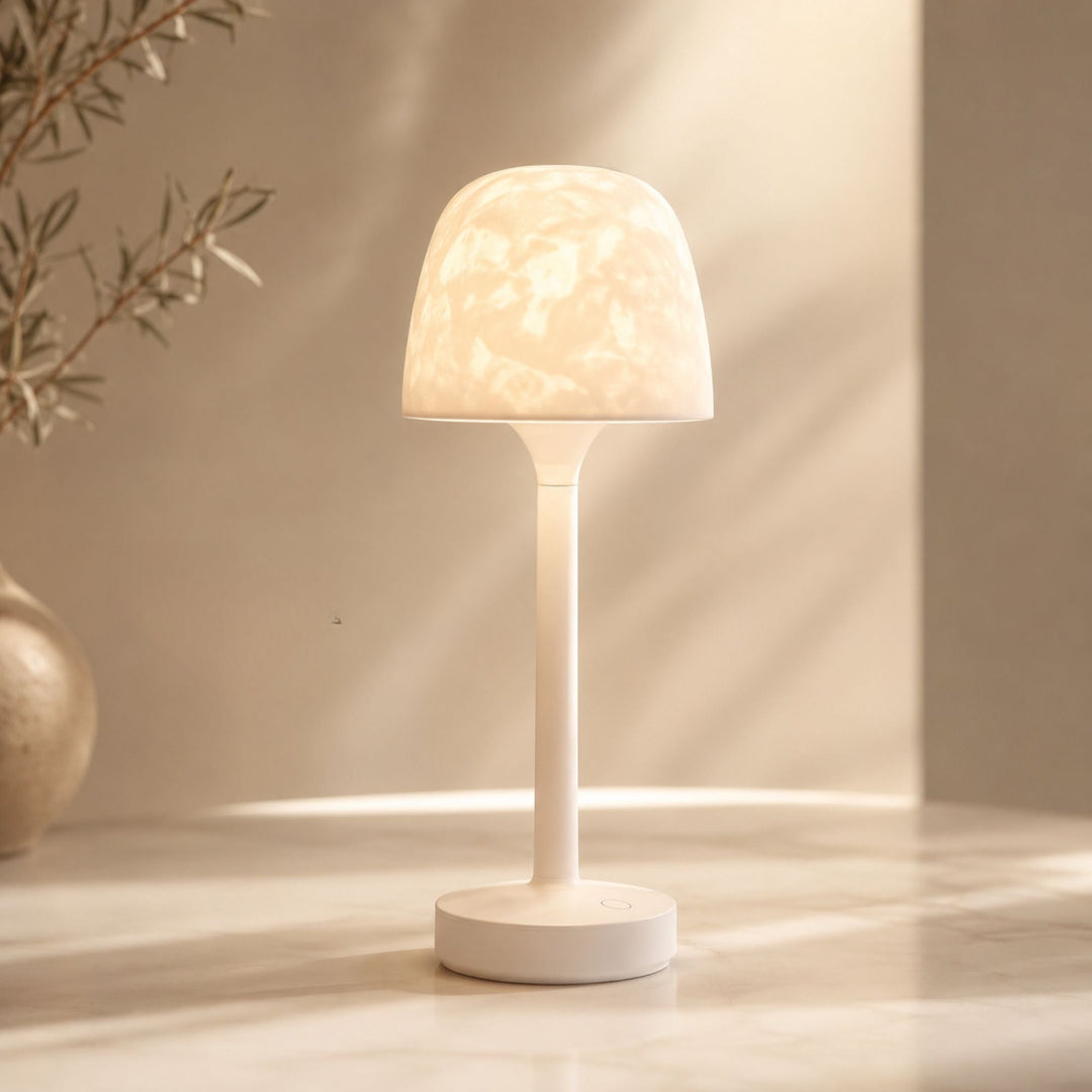 Aura™ Portable Shower Light