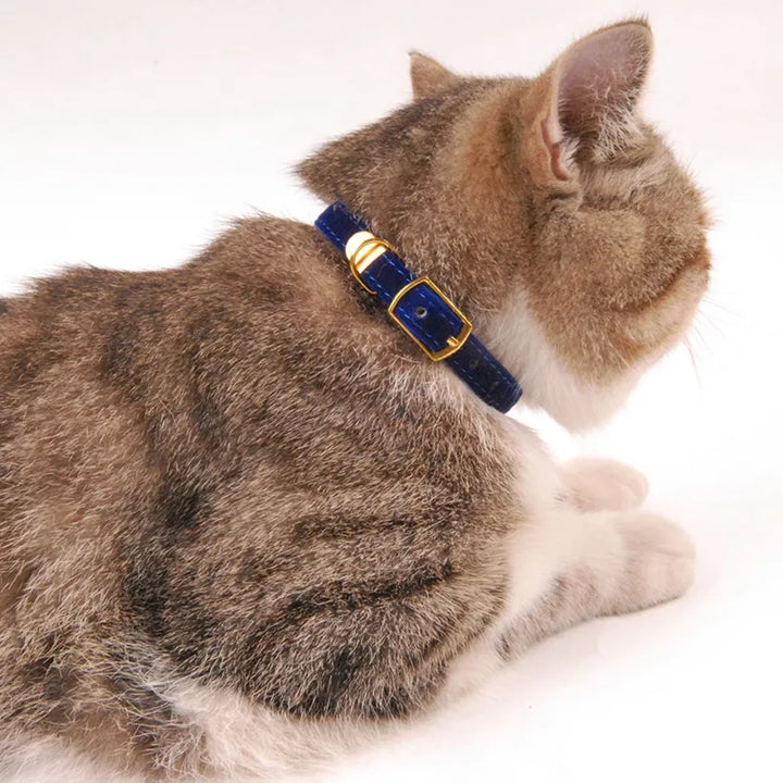 Cat Velour Collar with Golden Buckle: Soft, Adjustable & Elegant