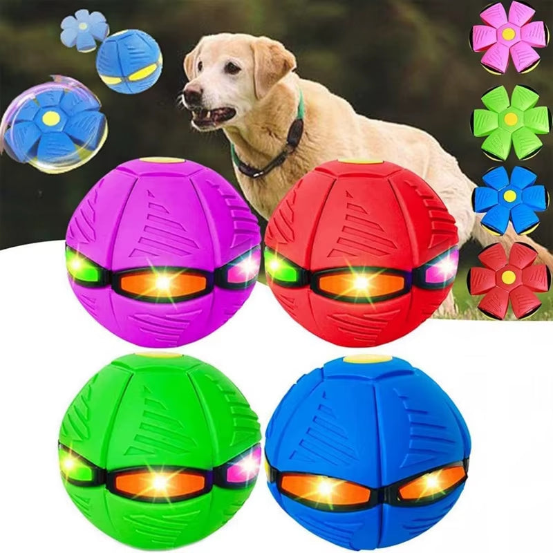 Interactive UFO Dog Ball