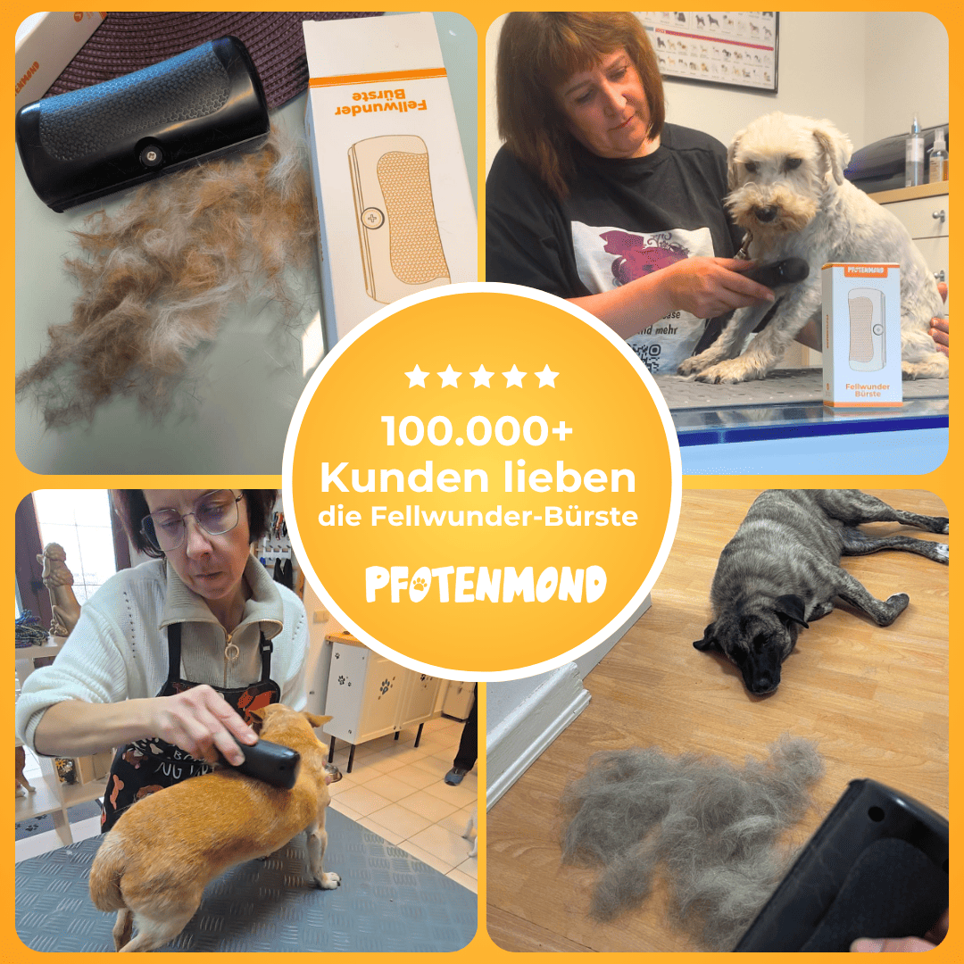 The Fur Wonder Brush effortlessly and reliably removes loose fur.
