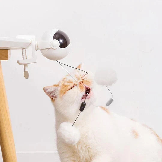 Cat's Automatic Interactive Play Toy for Solo Fun