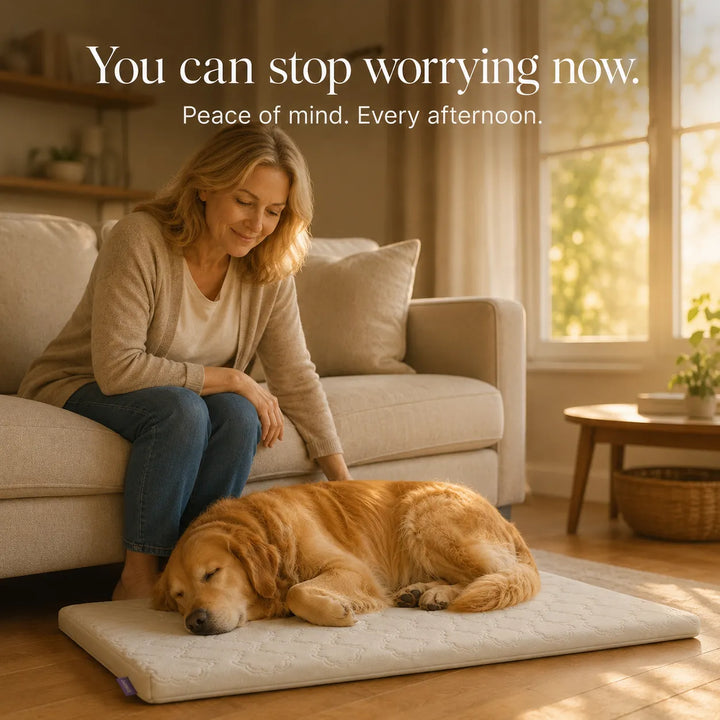 Coolava Instant Cooling Pet Mat for Dogs and Cats, Scratch-Resistant - Elena Harper