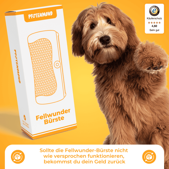 The Fur Wonder Brush effortlessly and reliably removes loose fur.