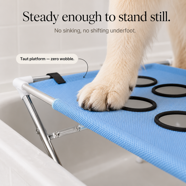 Elevated Anti-Slip Bath Platform for Dogs - Stainless Steel