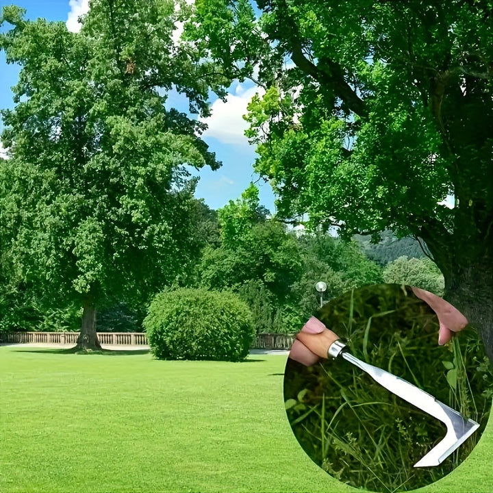 Efficient Path Weed Remover Tool - Effortless Crack & Edge Cleaning