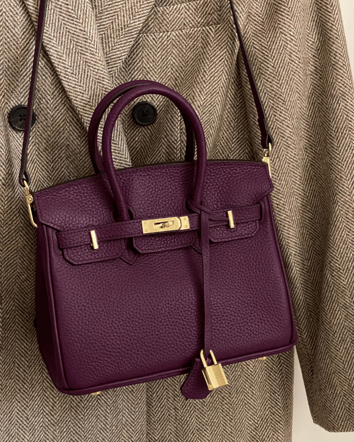 Elegant Women's Handbag with Gold Lock Detail