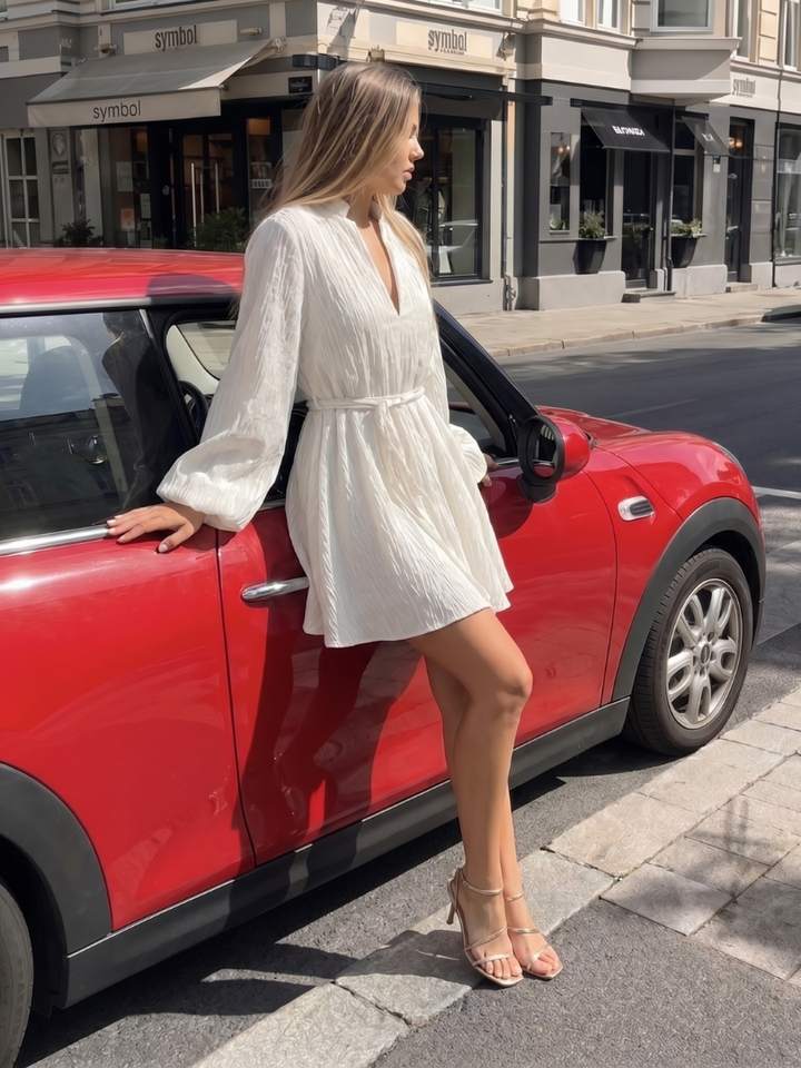 Azula Long Sleeve V Neck Flared Skirt Mini Dress - Elena Harper