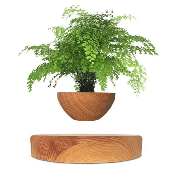 Liva Floating Plant Holder with Magnetic Levitation