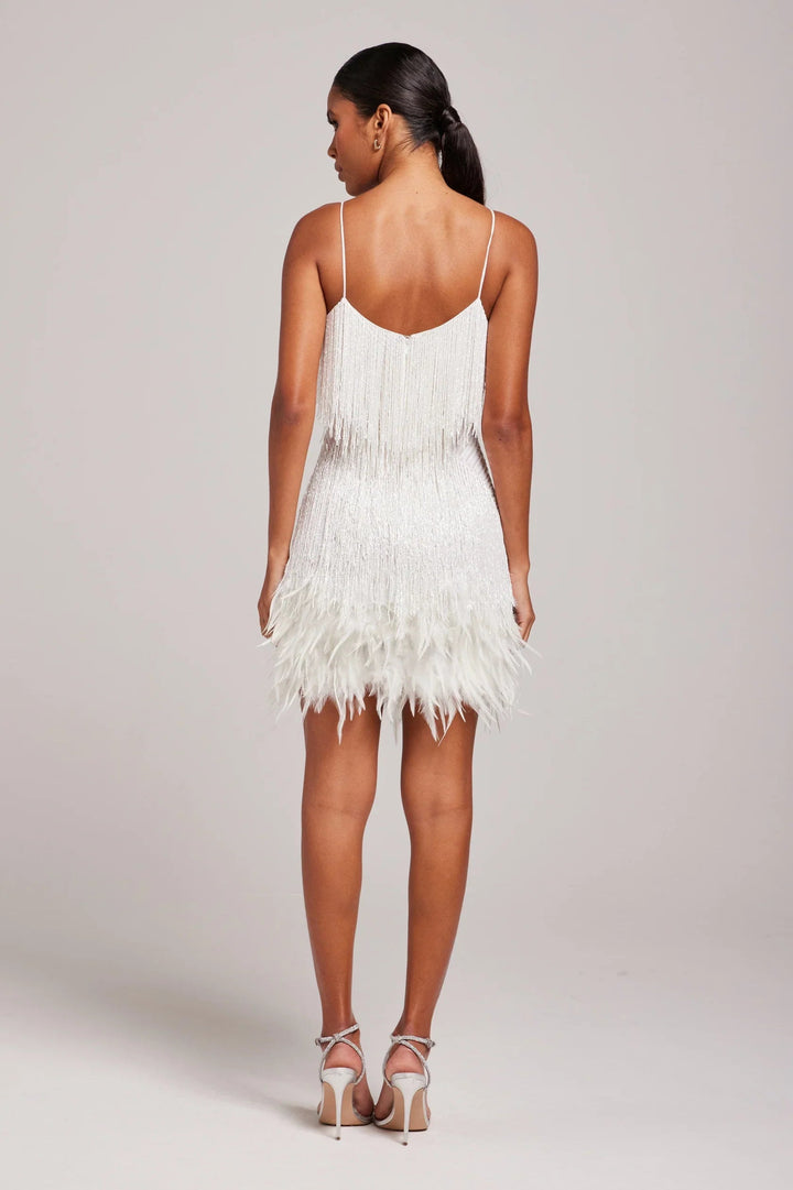 Joycel Modern Feathered Party Dress - Elena Harper