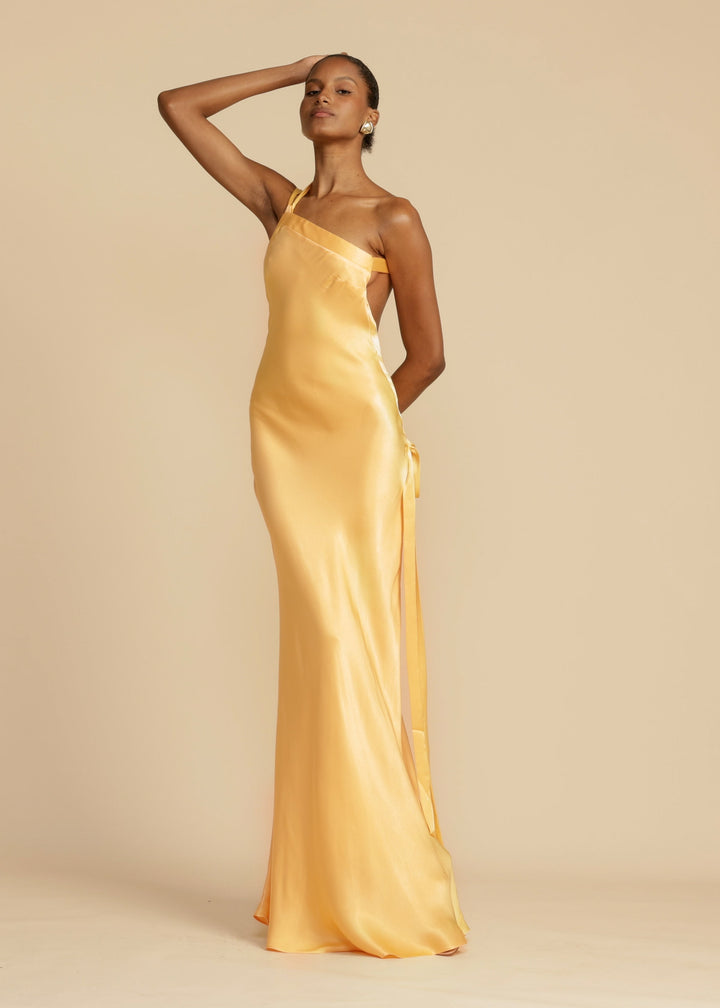 Selena Maxi Dress - Elena Harper