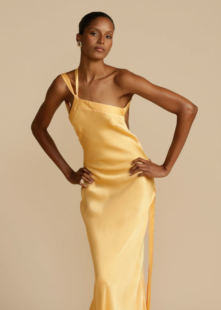 Selena Maxi Dress - Elena Harper