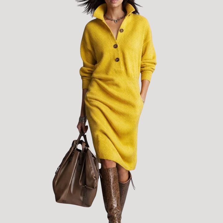 Women’s Midi Knit Dress with High Collar and Buttons