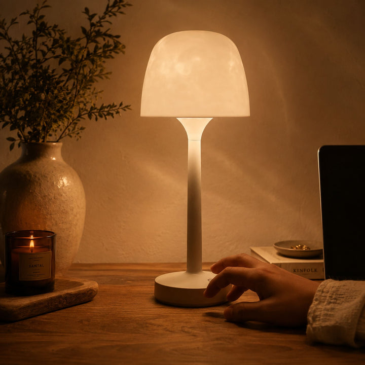 Aura™ Portable Shower Light
