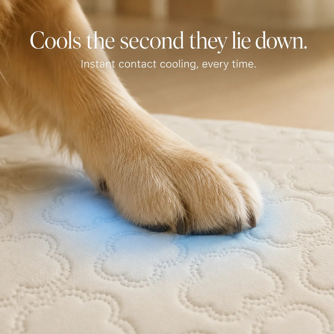 Coolava Instant Cooling Pet Mat for Dogs and Cats, Scratch-Resistant - Elena Harper