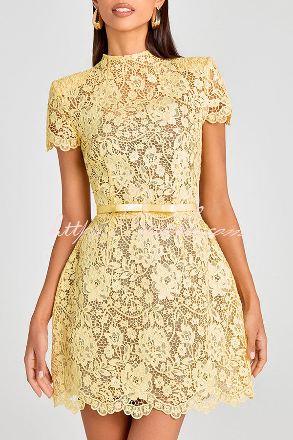 Champagne Toast Flower Lace Short Sleeve Bow Belted Mini Dress, view 4 - Elena Harper