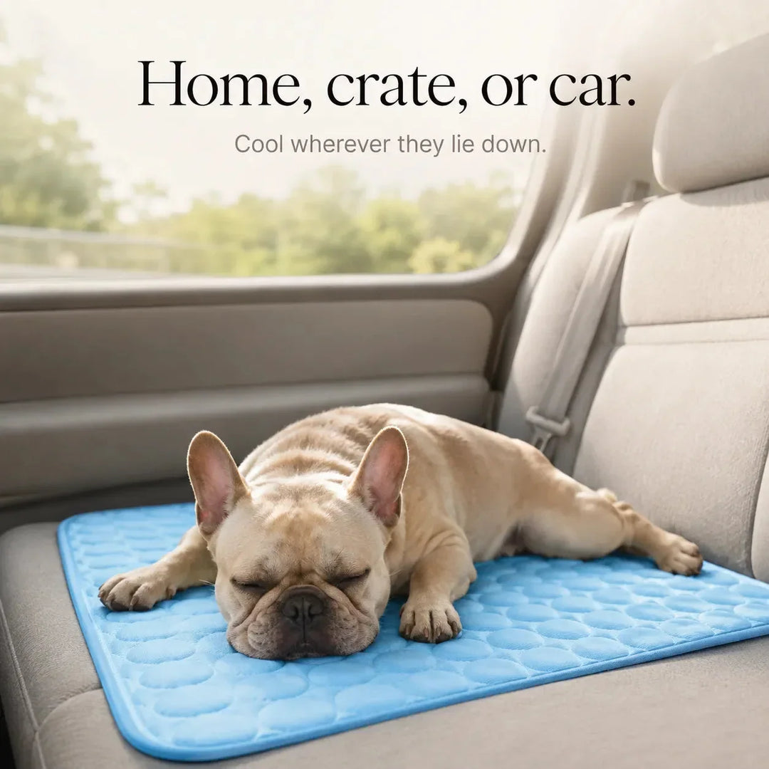 Coolabee Cooling Mat for Dogs & Cats, No-Freeze Washable Pet Pad - Elena Harper