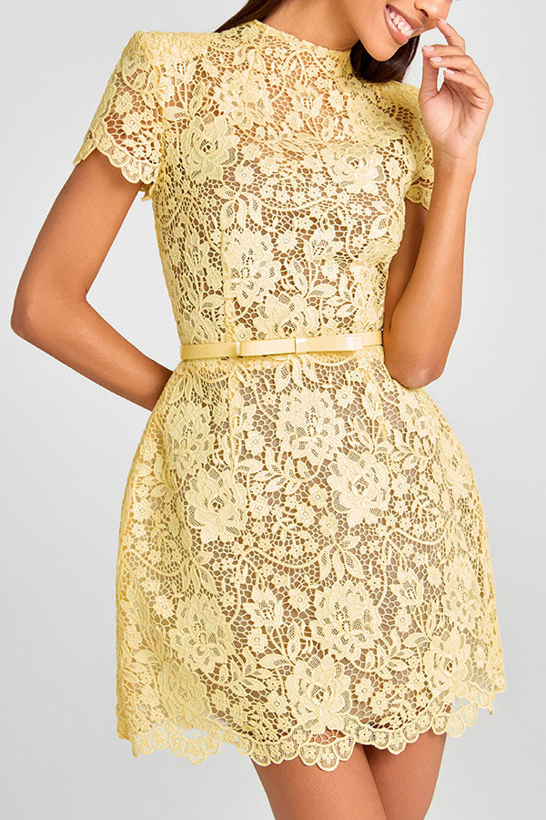 Champagne Toast Flower Lace Short Sleeve Bow Belted Mini Dress, view 9 - Elena Harper
