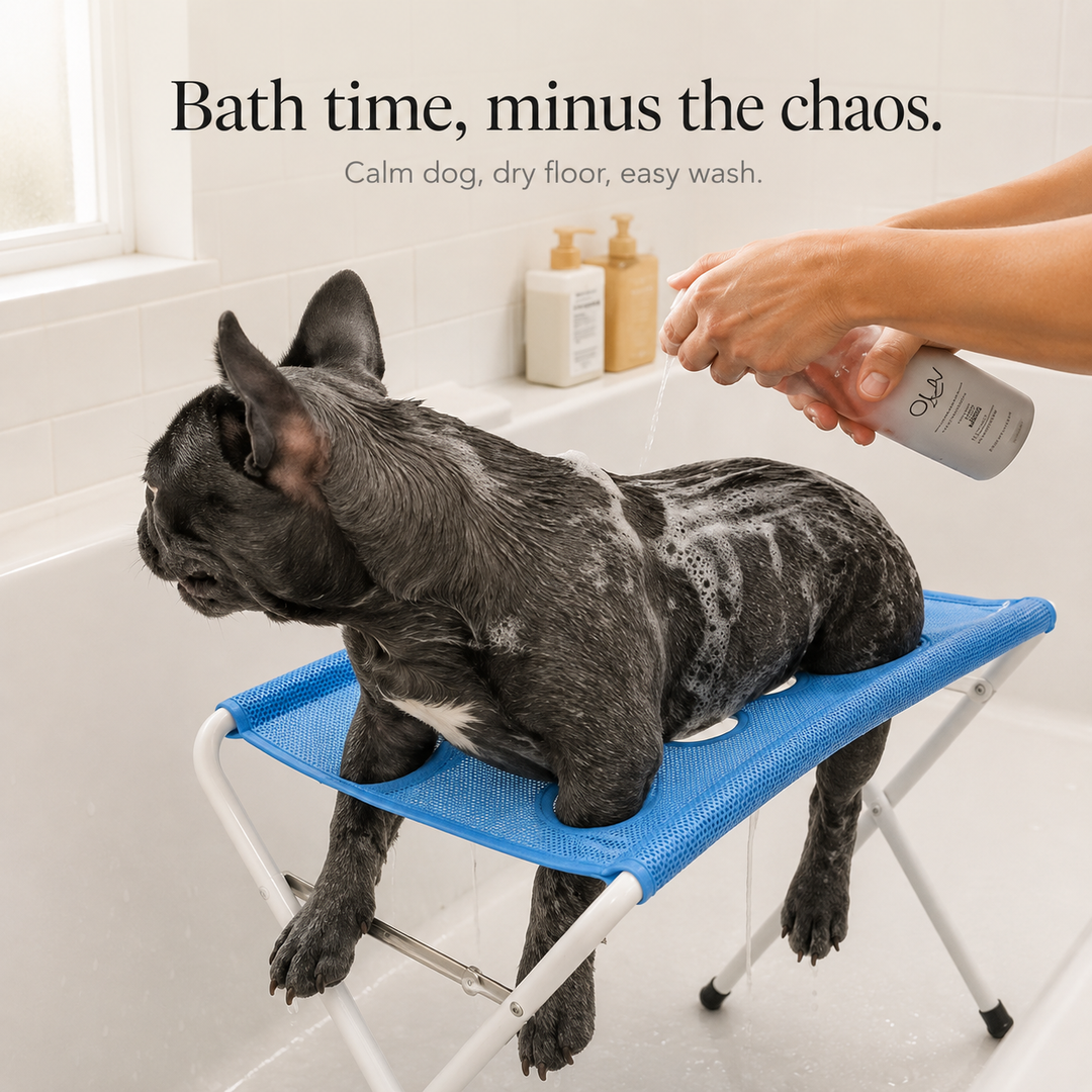 Elevated Anti-Slip Bath Platform for Dogs - Stainless Steel
