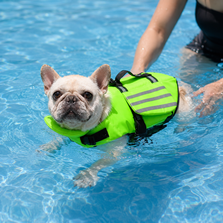 Angelfloat Reflective Angel Wing Dog Life Jacket - Elena Harper