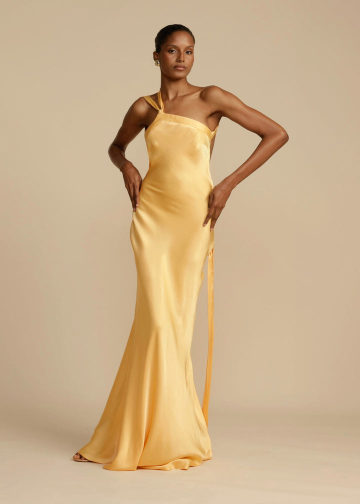 Selena Maxi Dress - Elena Harper
