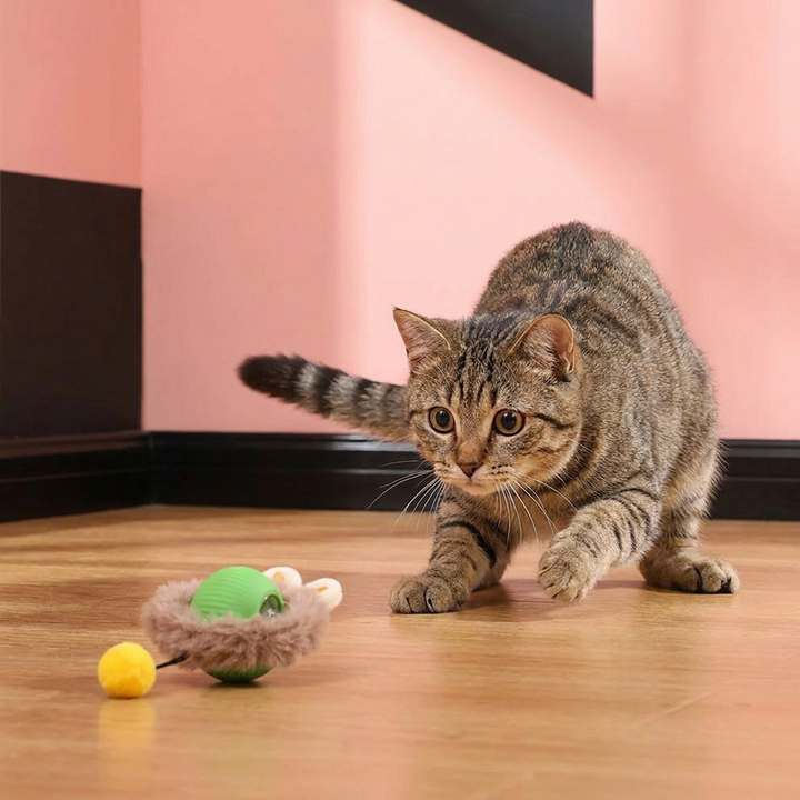 Interactive Cat Play Ball with Tail for Endless Fun