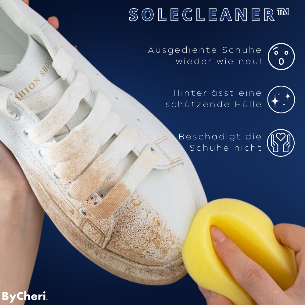 1+1 FREE TEMPORARY | SoleCleaner™