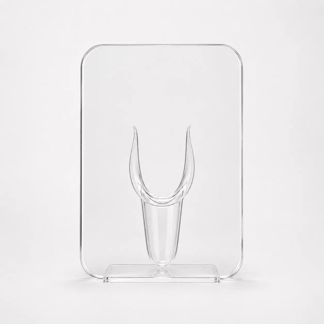 Belavera – Clear Acrylic Frame Vase for Flowers, Modern Picture