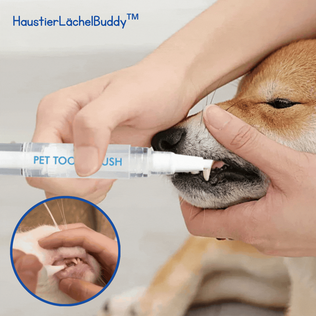 PetSmileBuddy™ Whisker-Friendly Tooth Cleaning (Buy 1 Get 1 Free)