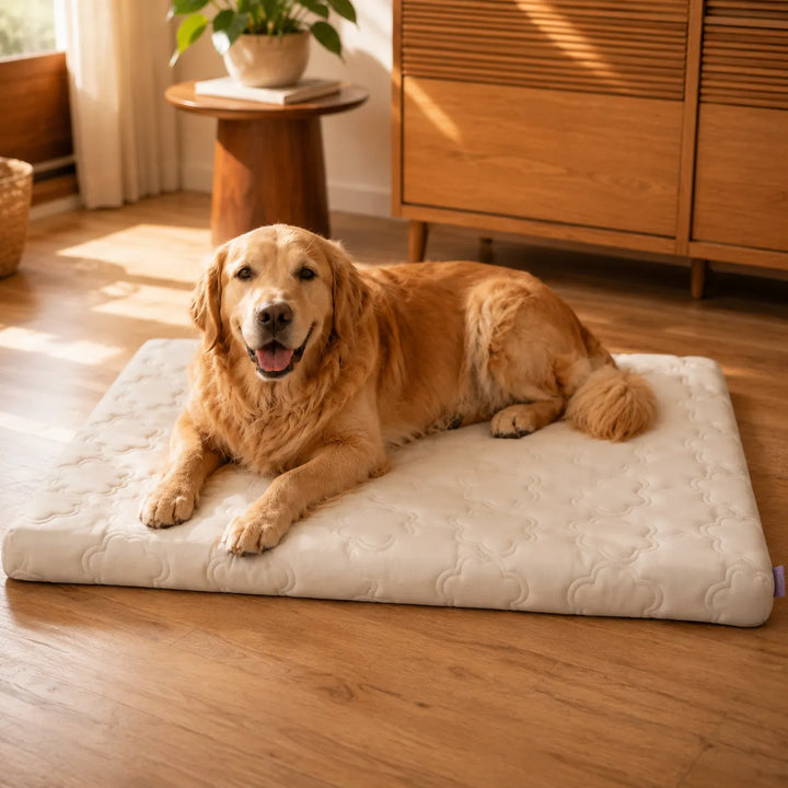 Coolava Instant Cooling Pet Mat for Dogs and Cats, Scratch-Resistant - Elena Harper