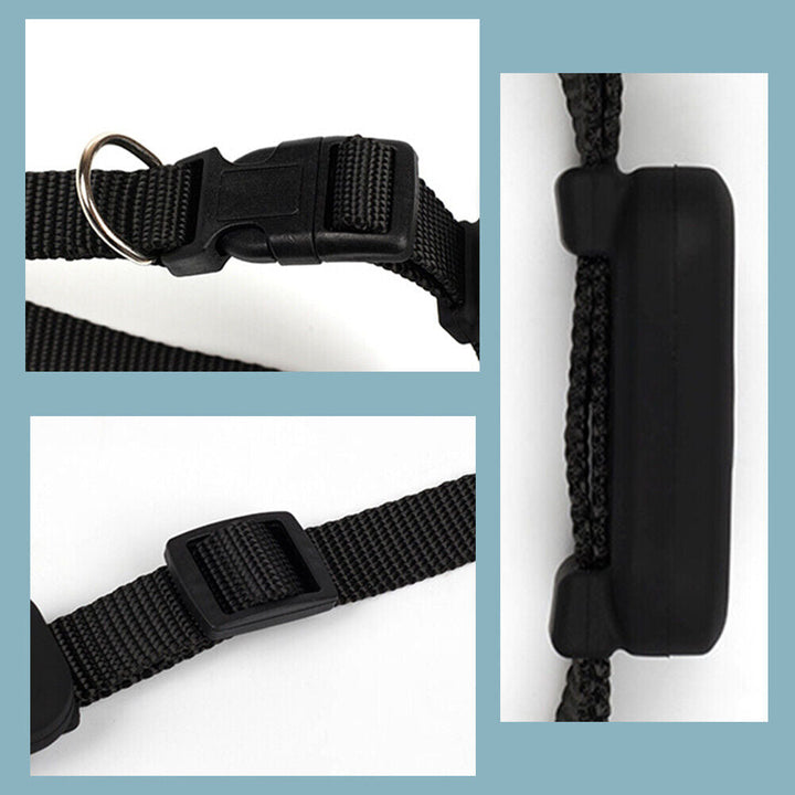 PetTrack GPS Tracker for iOS, view 8 - Elena Harper