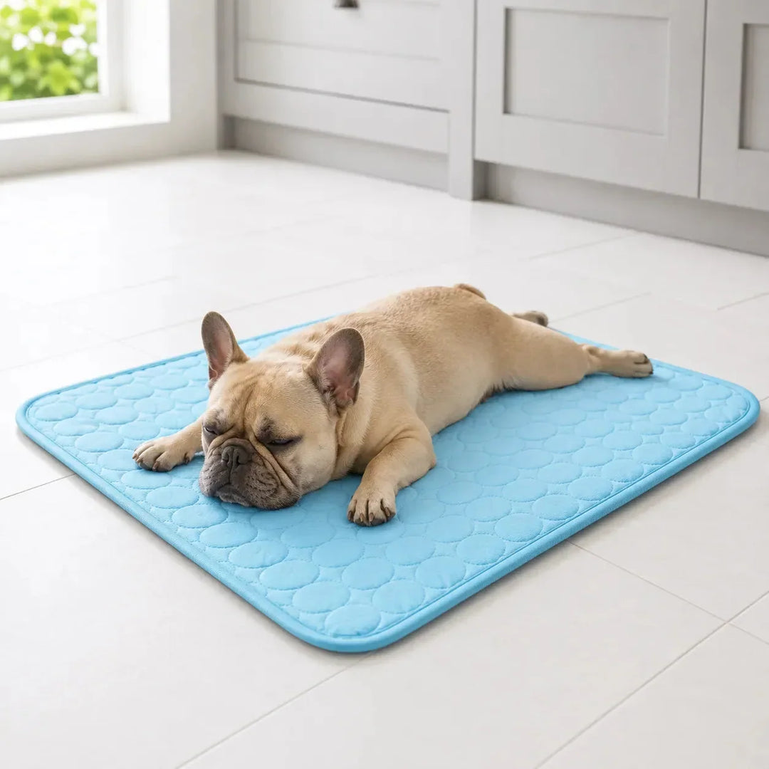 Coolabee Cooling Mat for Dogs & Cats, No-Freeze Washable Pet Pad - Elena Harper
