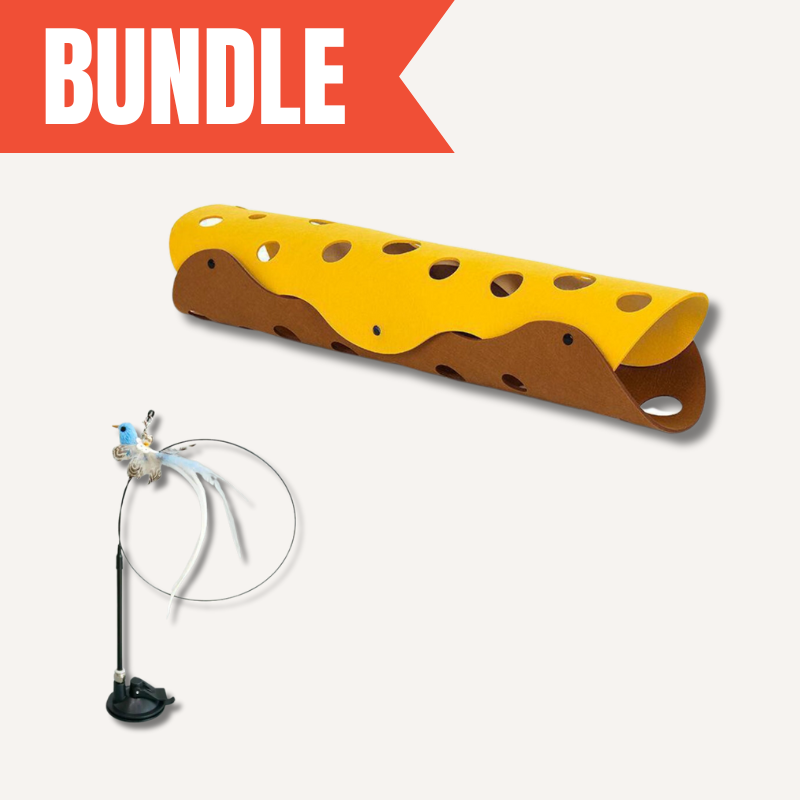 Cat's Interactive Play & Lounge Set for Fun & Rest