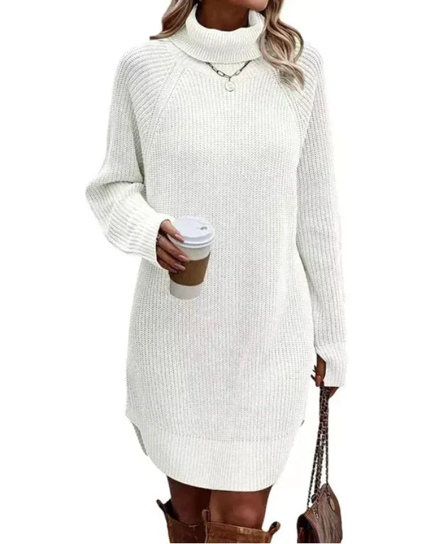 Autumn Knit Dress with Turtle Neck Maris, view 5 - Elena Harper