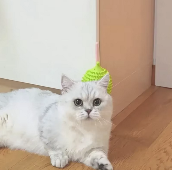 Unisex Catnip UFO Toy for Active Indoor Play
