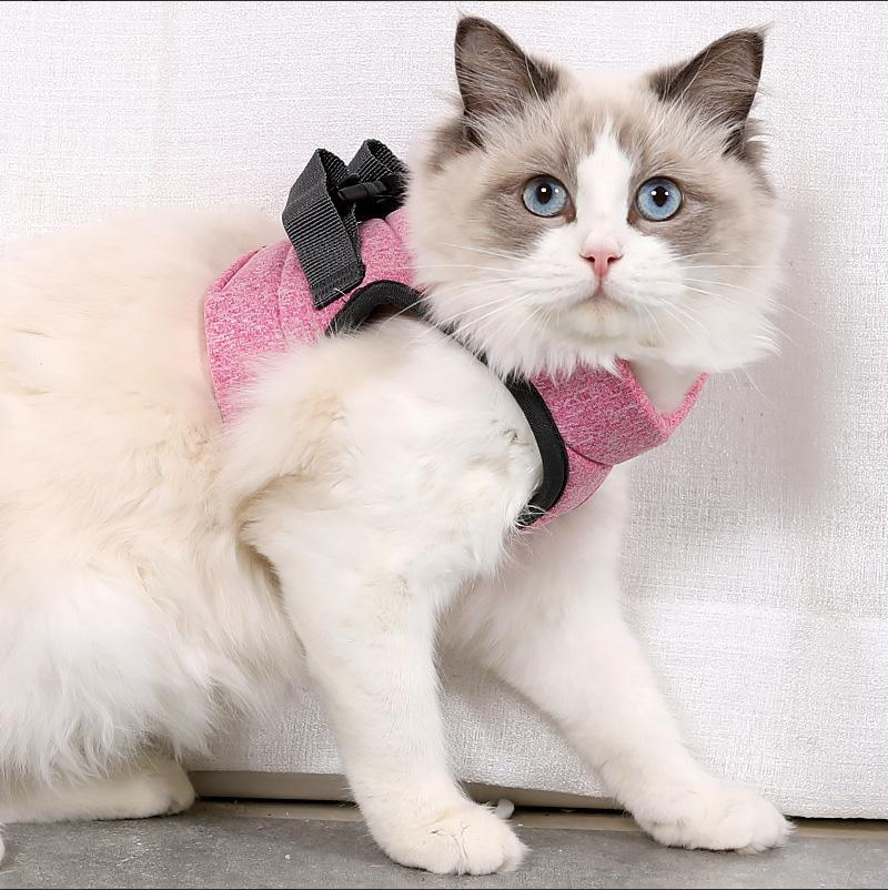 Cat's Secure Anti-Escape Harness with Leash for Safe Walks