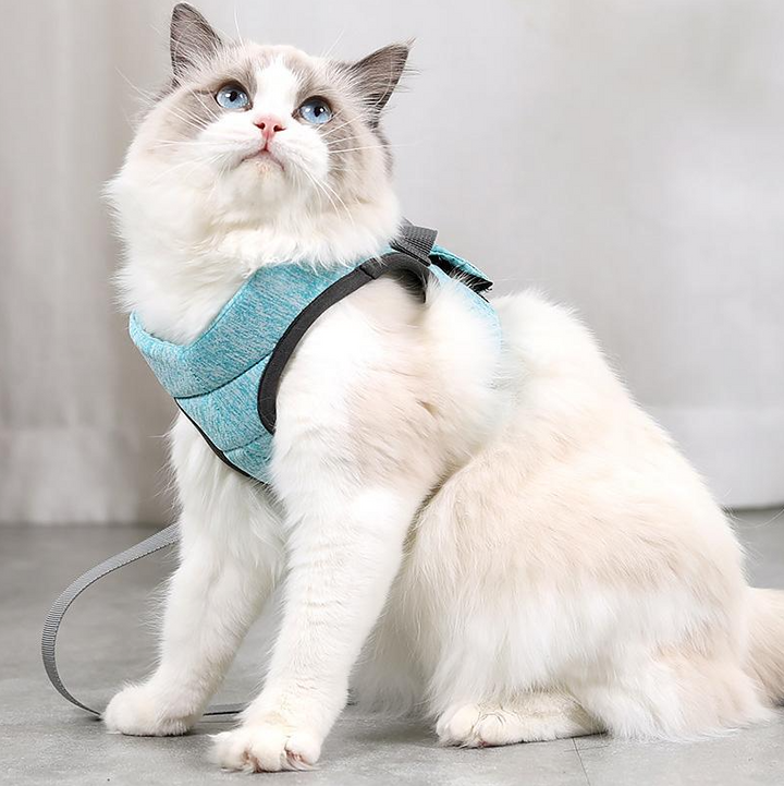 Cat's Secure Anti-Escape Harness with Leash for Safe Walks