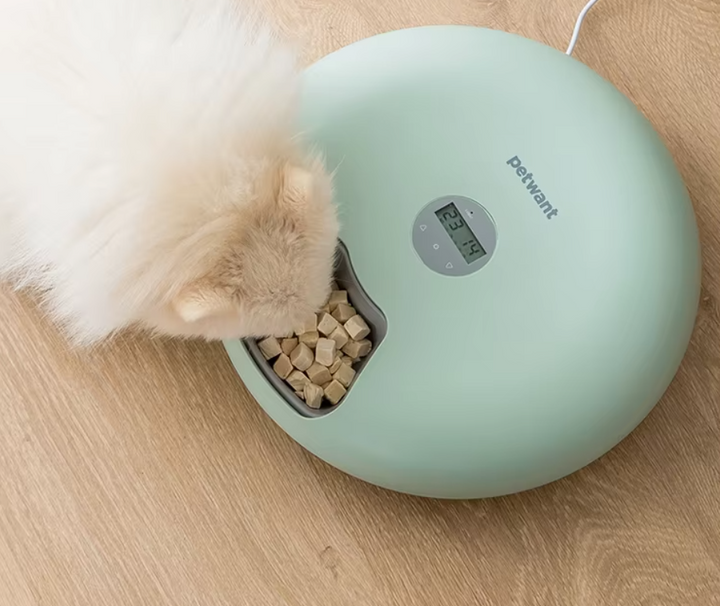 Pet Digital Automatic Food Dispenser Bowl - Timed Meals