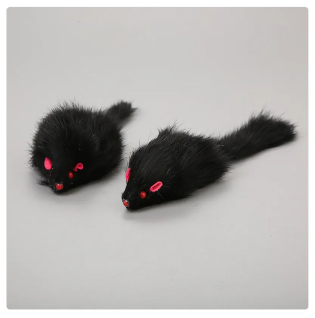 Interactive Cat Toy with String Mouse for Engaging Play
