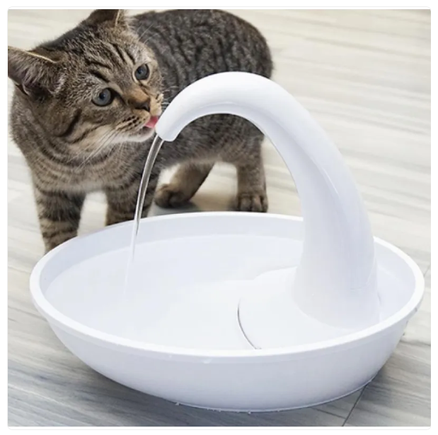 Pets' Automatic Water Fountain for Cats & Dogs - 79 fl oz Capacity
