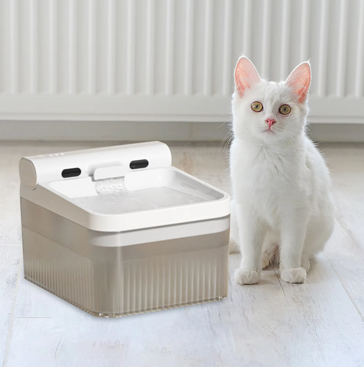Pet's Fountain Water Dispenser - Running Flow & Triple Filter