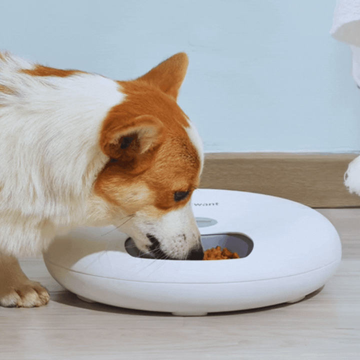 Pet Digital Automatic Food Dispenser Bowl - Timed Meals