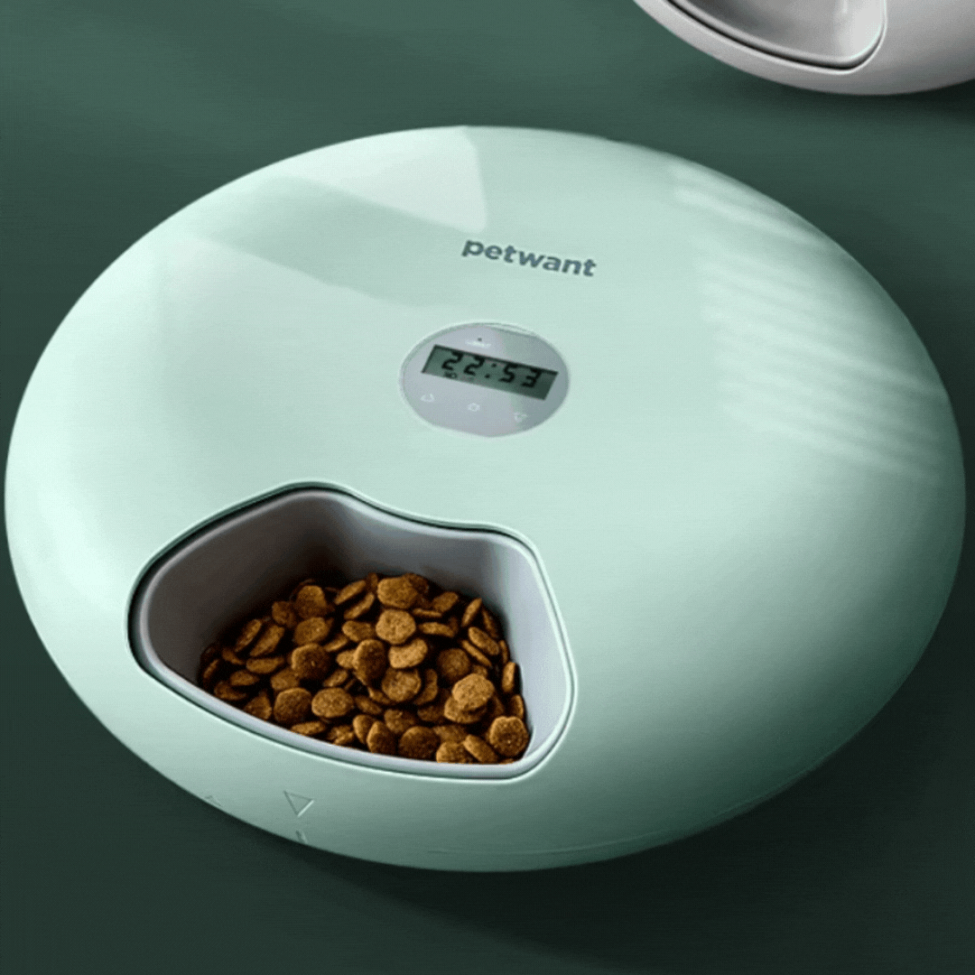 Pet Digital Automatic Food Dispenser Bowl - Timed Meals