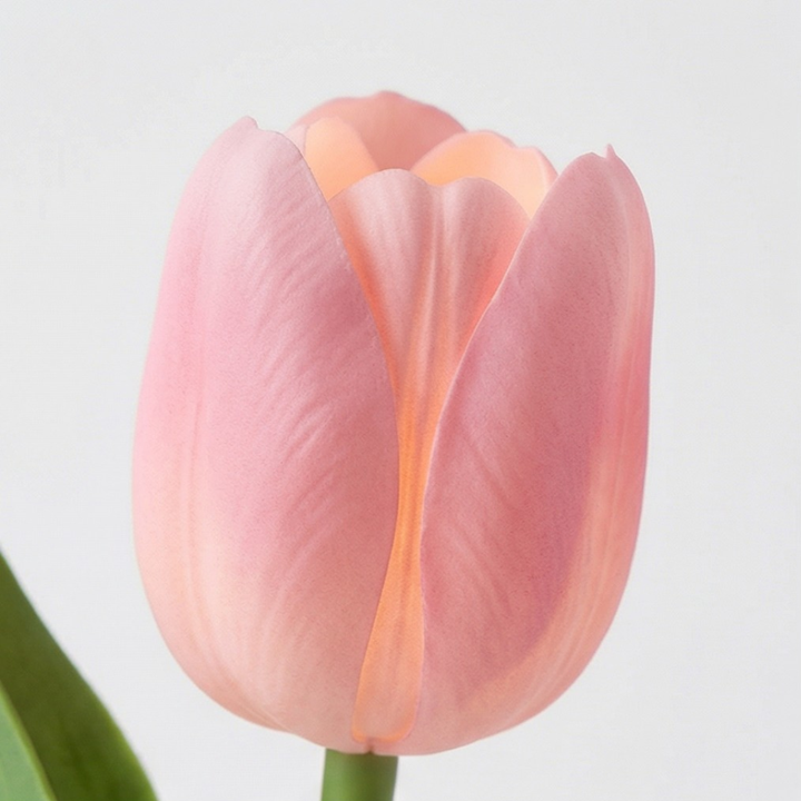 Bloomora LED Tulip Lamp with Ceramic Vase - Elena Harper