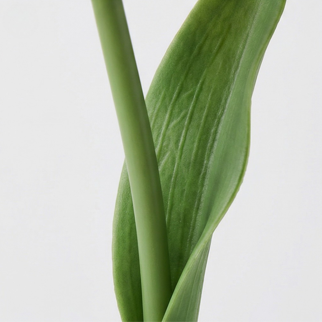 Bloomora LED Tulip Lamp with Ceramic Vase - Elena Harper