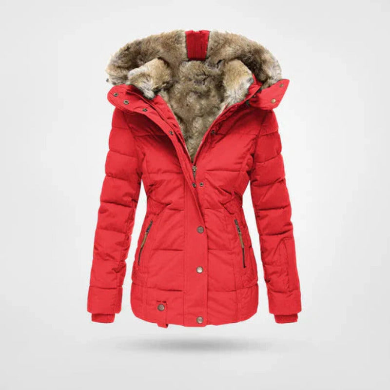 Women's Winter Jacket | Insulated Hood & Double Closure