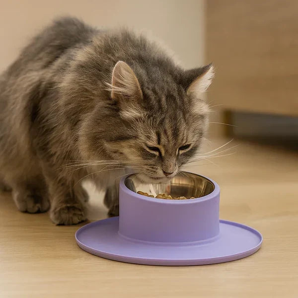 Cat's Non-Slip & Leak-Proof Stainless Steel Food Bowl