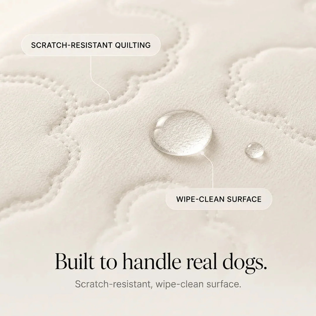 Coolava – Instant Cooling Pet Mat for Dogs and Cats, Scratch-Resistant