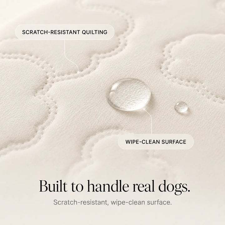 Coolava Instant Cooling Pet Mat for Dogs and Cats, Scratch-Resistant - Elena Harper