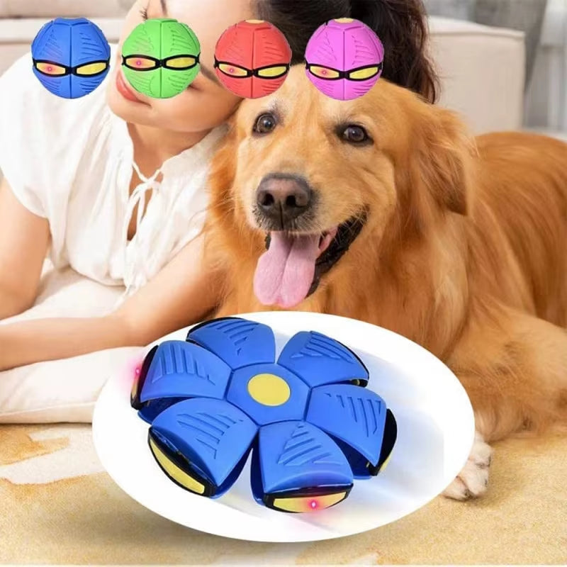 Interactive UFO Dog Ball